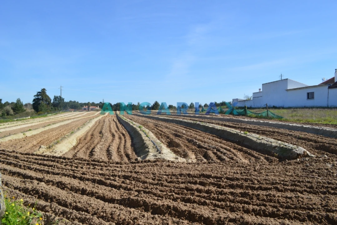 Terreno para Venda em Aveiras de Cima Foto 6