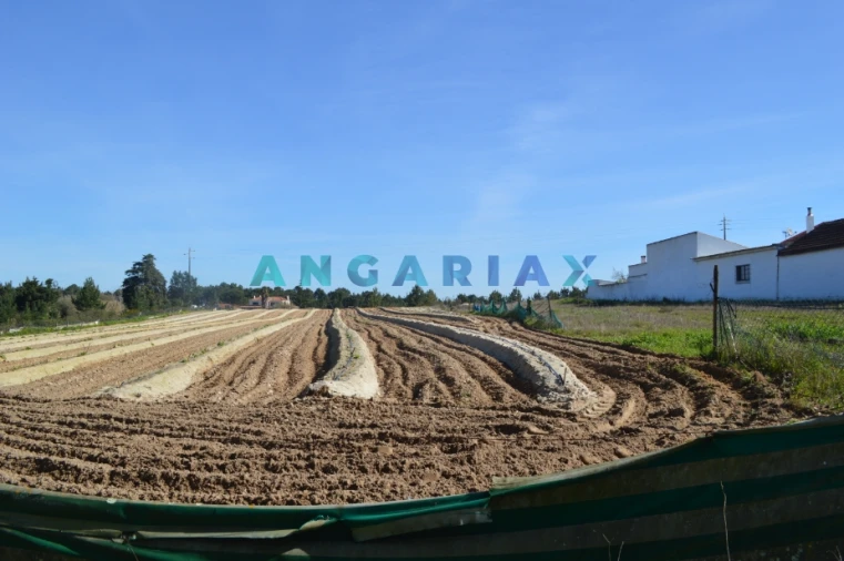 Terreno para Venda em Aveiras de Cima Foto 3