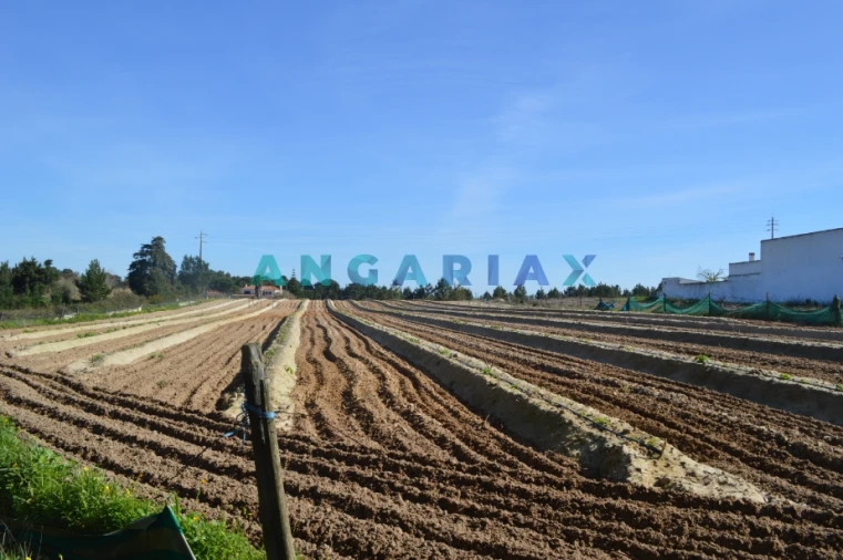 Terreno para Venda em Aveiras de Cima Foto 5