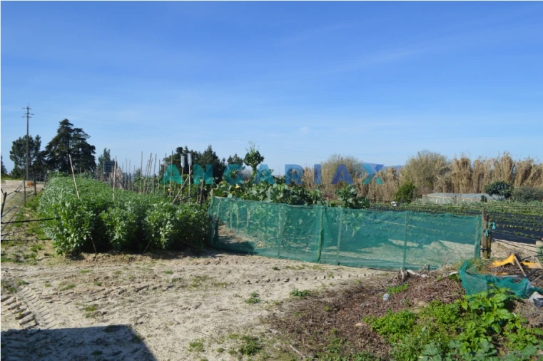 Terreno para Venda em Aveiras de Cima Foto 10