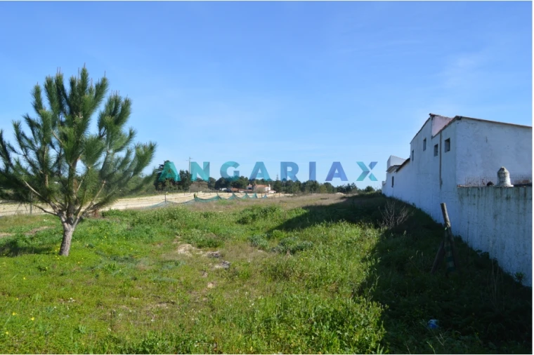 Terreno para Venda em Aveiras de Cima Foto 8