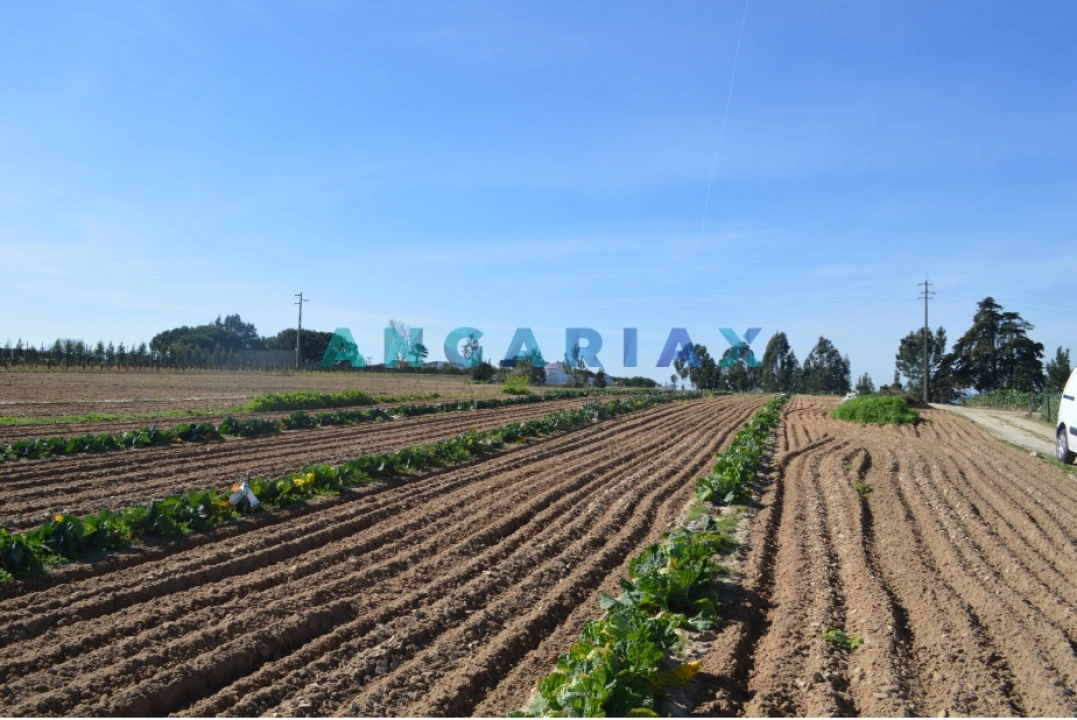 Terreno para Venda em Aveiras de Cima Foto 5