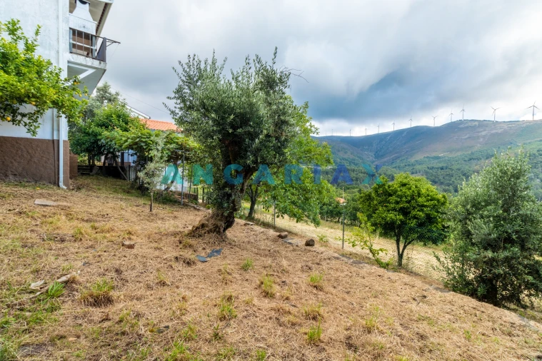 Moradia T5 para Venda em Castanheira de Pêra e Coentral Foto 44