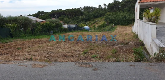 Terreno para Venda em Caranguejeira
