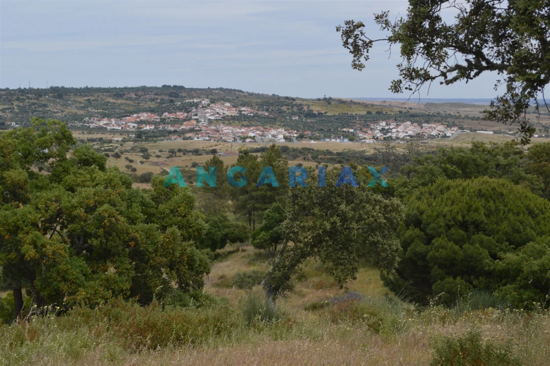 Terreno para Venda em Rosmaninhal Foto 1