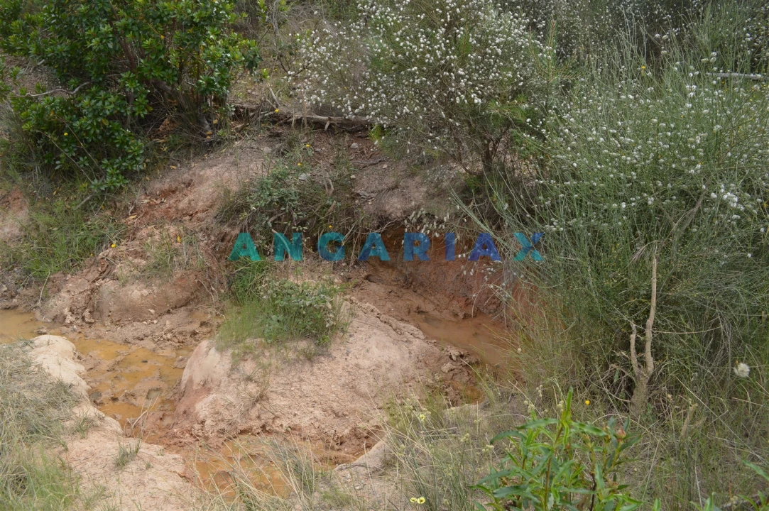 Terreno para Venda em Rosmaninhal Foto 10