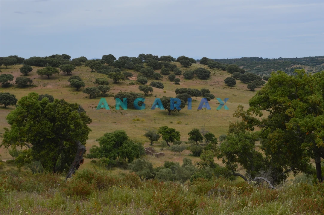 Terreno para Venda em Rosmaninhal Foto 2
