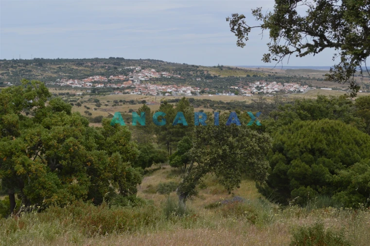 Terreno para Venda em Rosmaninhal Foto 5