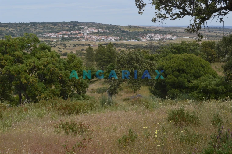 Terreno para Venda em Rosmaninhal Foto 2