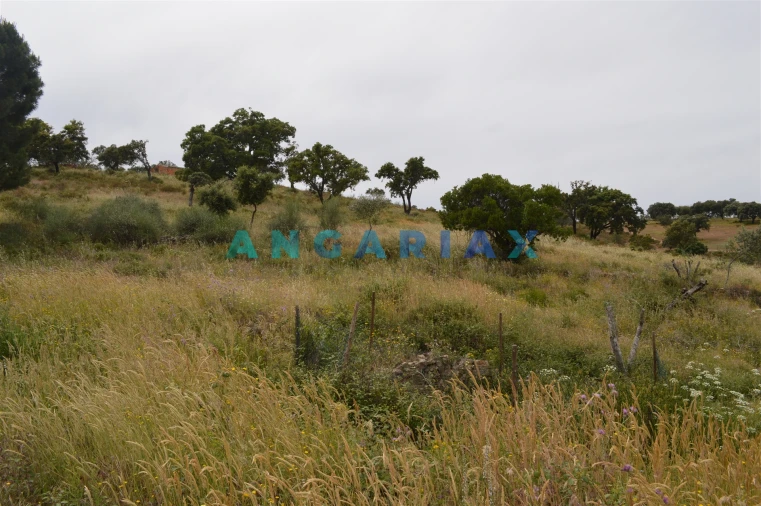 Terreno para Venda em Rosmaninhal Foto 3