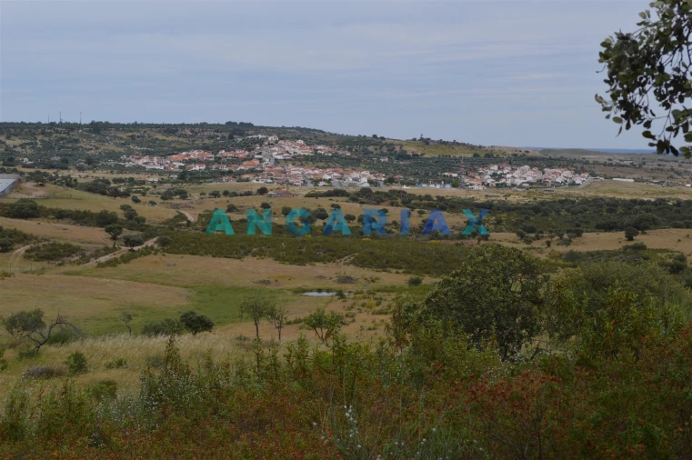 Terreno para Venda em Rosmaninhal Foto 11
