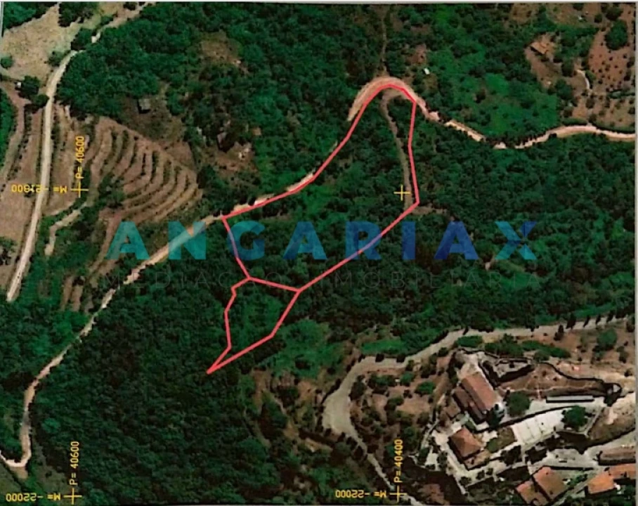 Terreno para Venda em São Miguel, Santa Eufémia e Rabaçal Foto 2