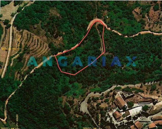 Terreno para Venda em São Miguel, Santa Eufémia e Rabaçal Foto 1