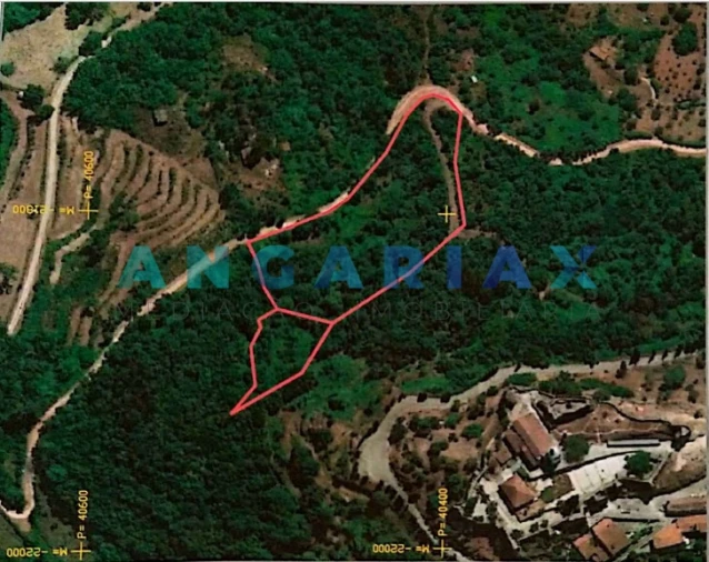 Terreno para Venda em São Miguel, Santa Eufémia e Rabaçal Foto 2