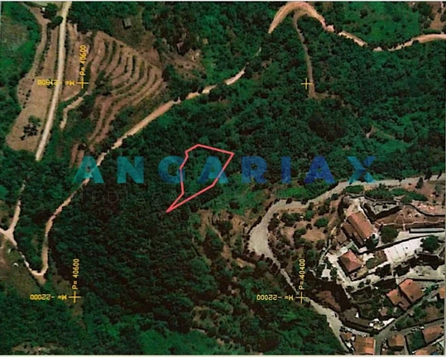 Terreno para Venda em São Miguel, Santa Eufémia e Rabaçal Foto 3