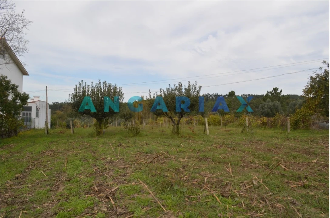 Terreno para Venda em Tapeus Foto 8