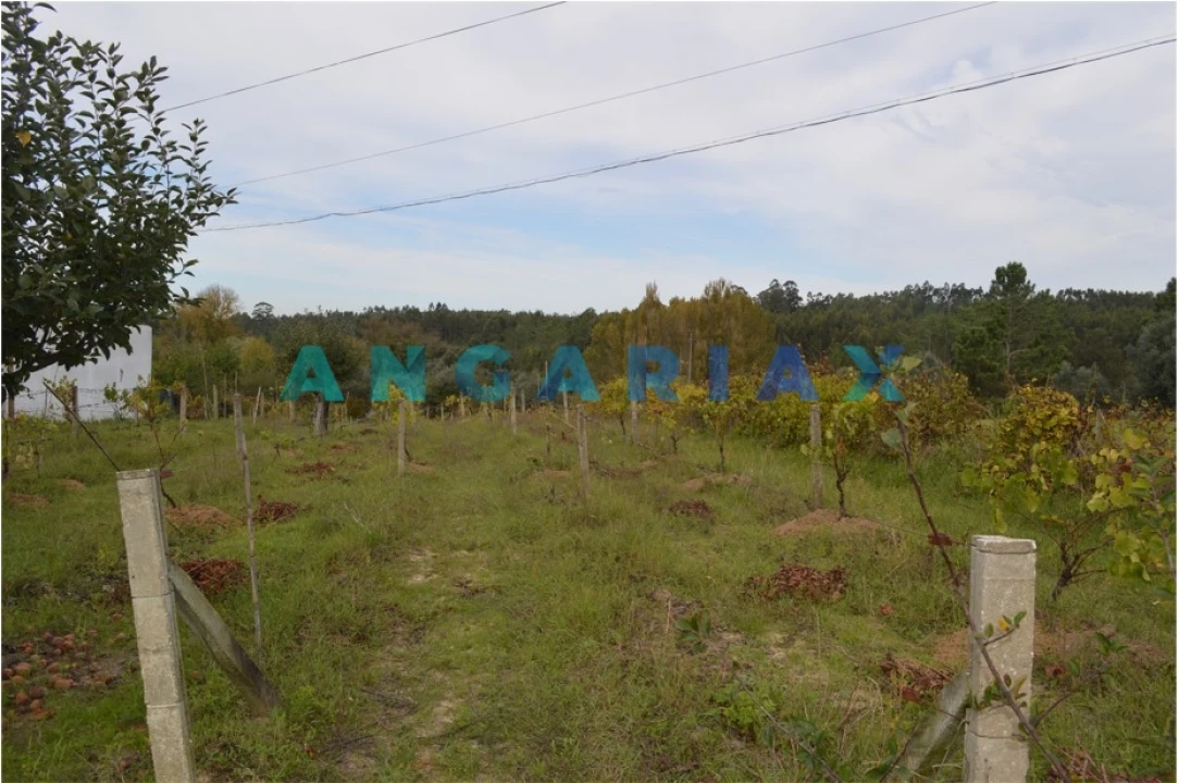 Terreno para Venda em Tapeus Foto 11