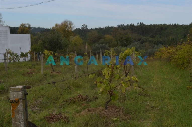 Terreno para Venda em Tapeus Foto 13