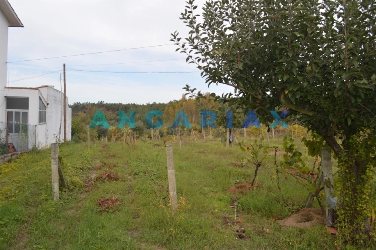 Terreno para Venda em Tapeus Foto 9