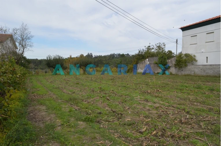 Terreno para Venda em Tapeus Foto 3