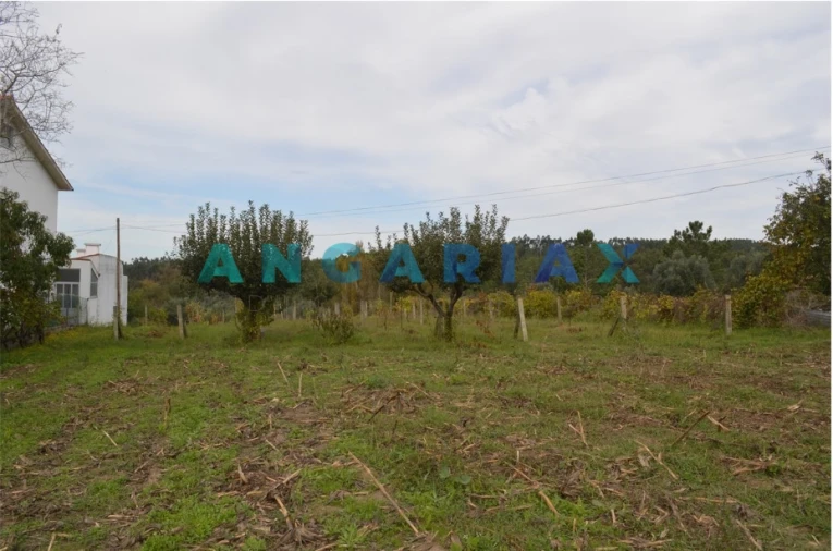 Terreno para Venda em Tapeus Foto 8