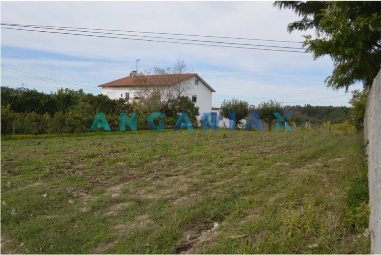 Terreno para Venda em Tapeus Foto 1