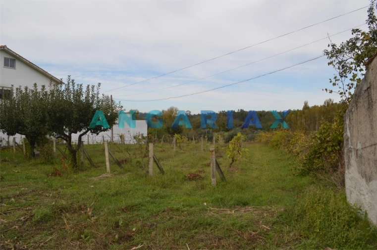 Terreno para Venda em Tapeus Foto 14