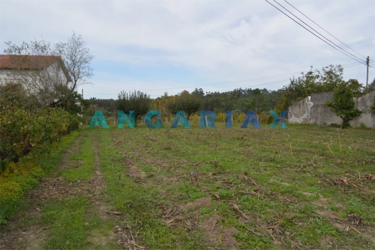 Terreno para Venda em Tapeus Foto 7