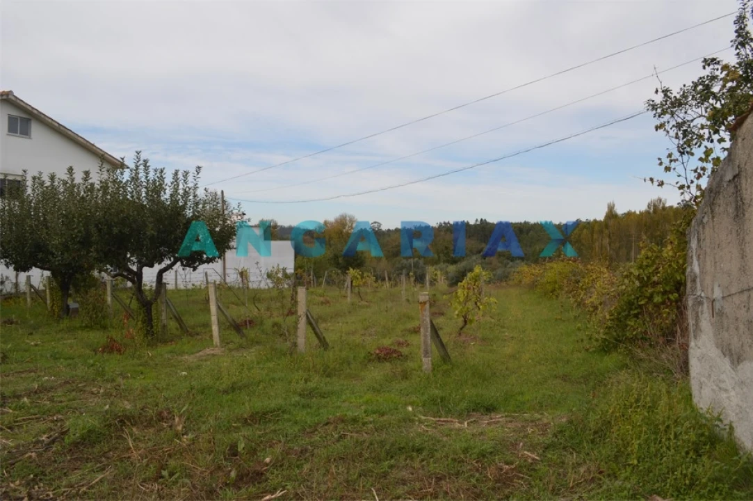 Terreno para Venda em Tapeus Foto 14