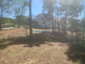 Terreno para Venda em Leiria, Pousos, Barreira e Cortes