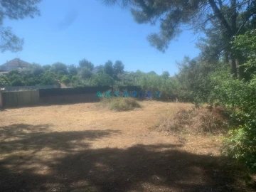 Terreno para Venda em Leiria, Pousos, Barreira e Cortes