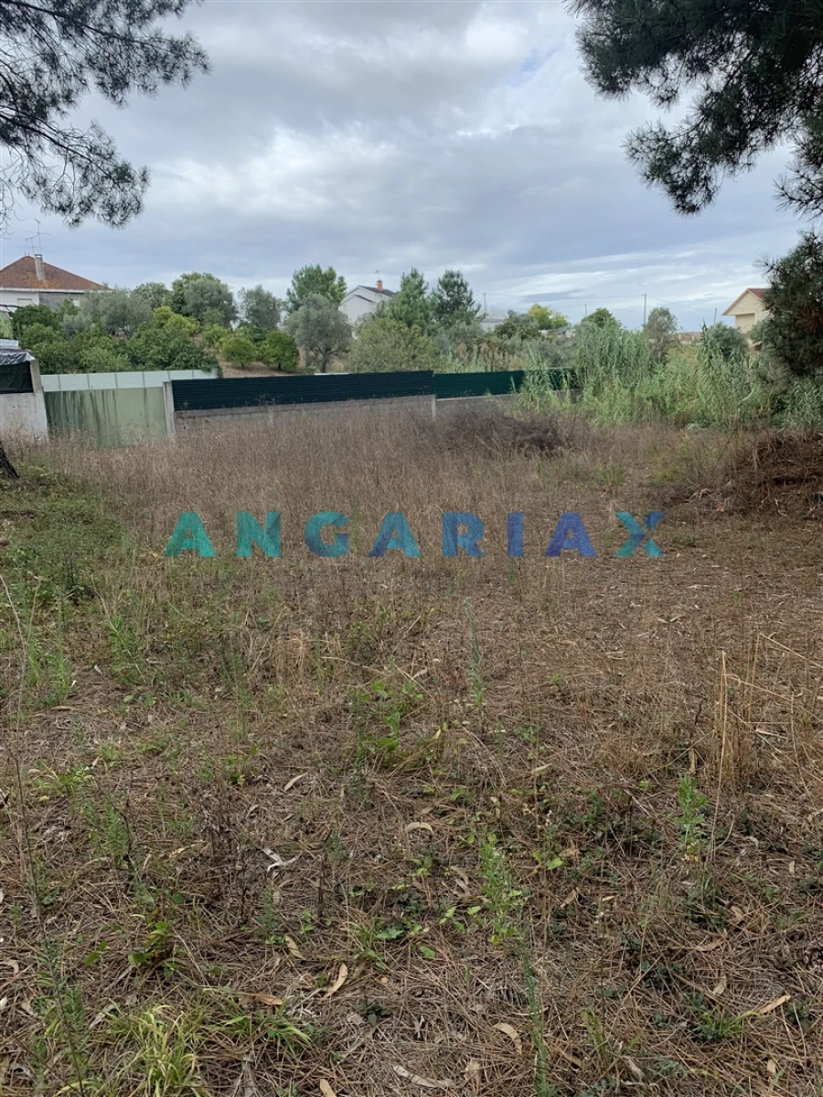 Terreno para Venda em Leiria, Pousos, Barreira e Cortes Foto 3