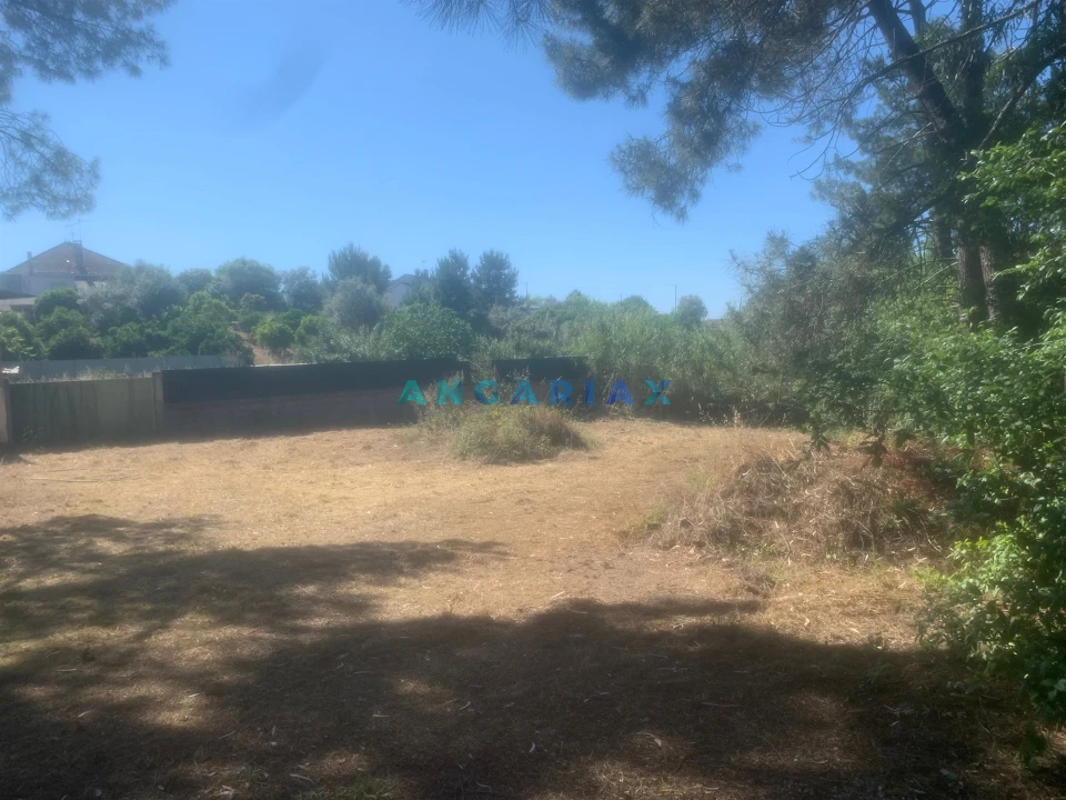 Terreno para Venda em Leiria, Pousos, Barreira e Cortes Foto 4