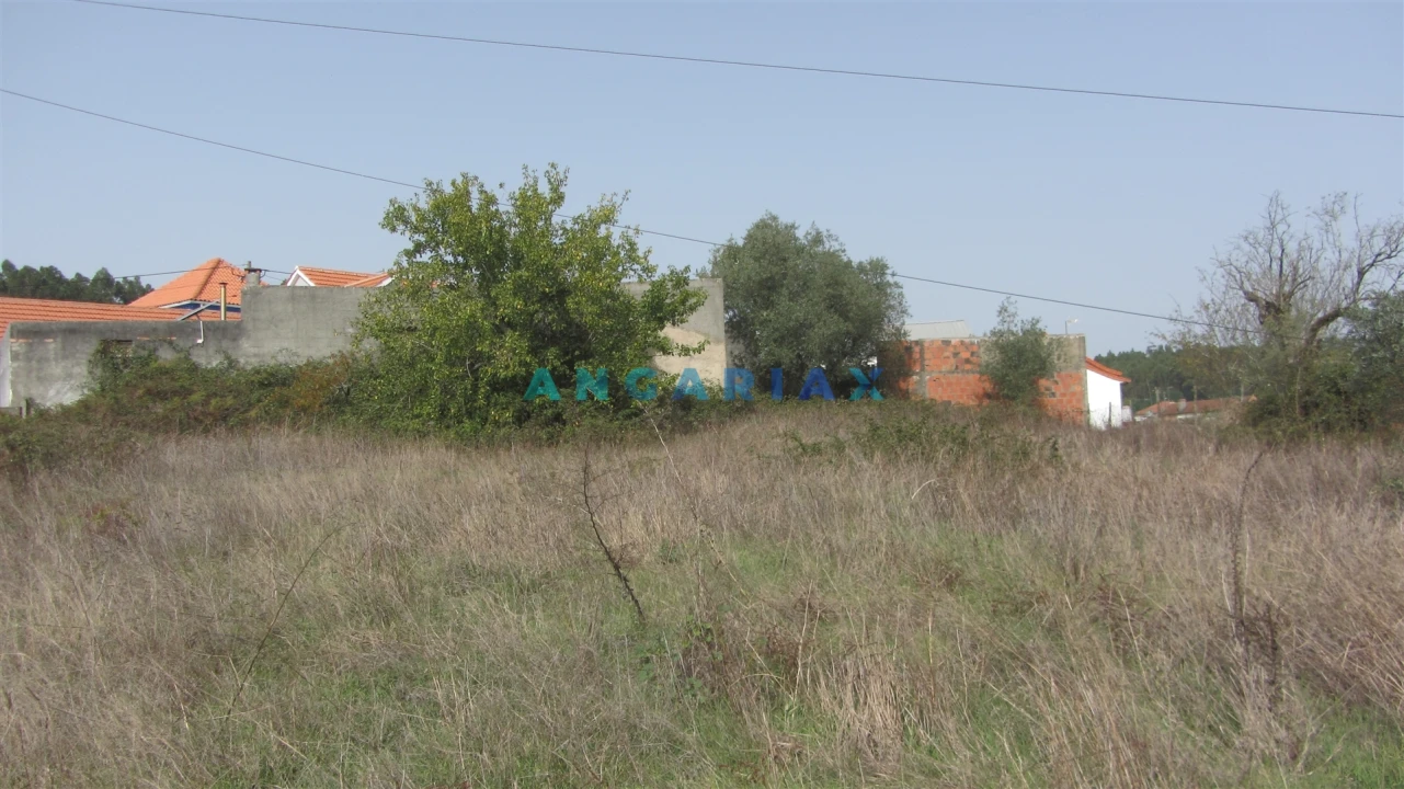 Terreno para Venda em Santiago e São Simão de Litém e Albergaria dos Doze Foto 2