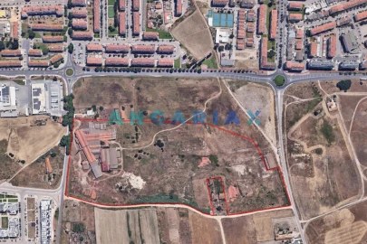 Terreno para Venda em Montijo e Afonsoeiro
