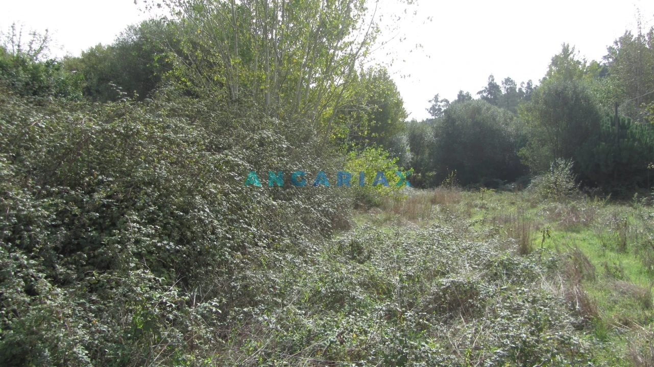 Terreno Agricola ou Rústico para Venda em Santiago e São Simão de Litém e Albergaria dos Doze Foto 1