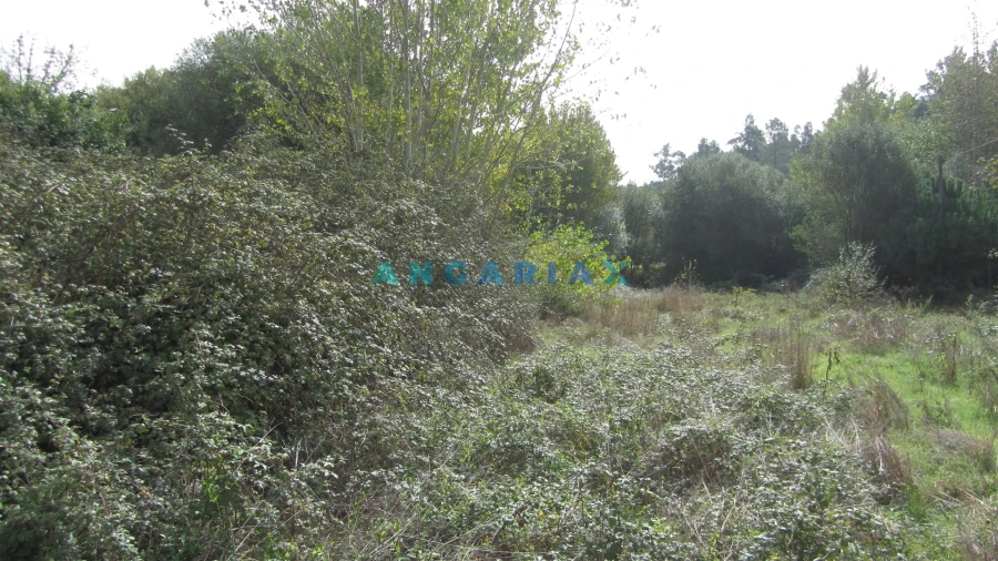 Terreno Agricola ou Rústico para Venda em Santiago e São Simão de Litém e Albergaria dos Doze