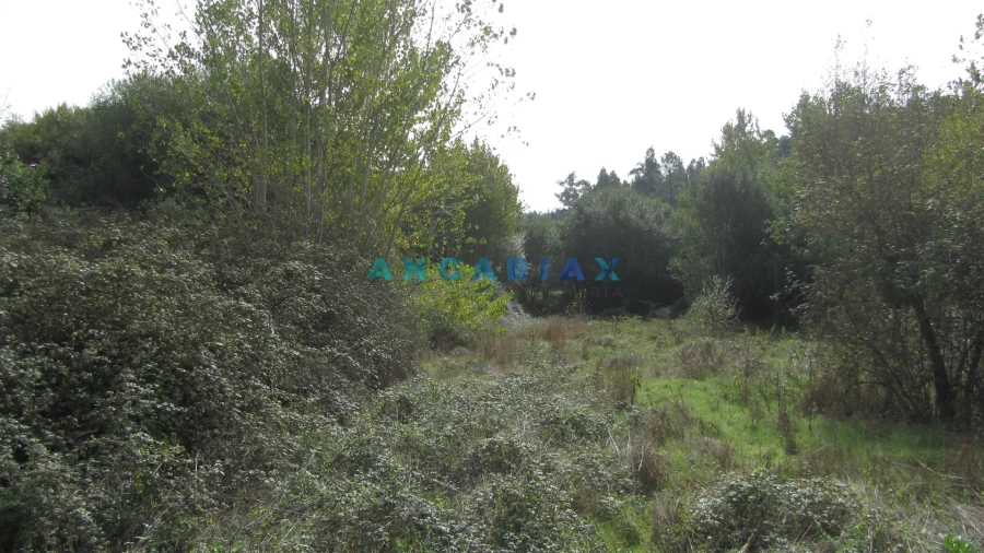 Terreno Agricola ou Rústico para Venda em Santiago e São Simão de Litém e Albergaria dos Doze Foto 3