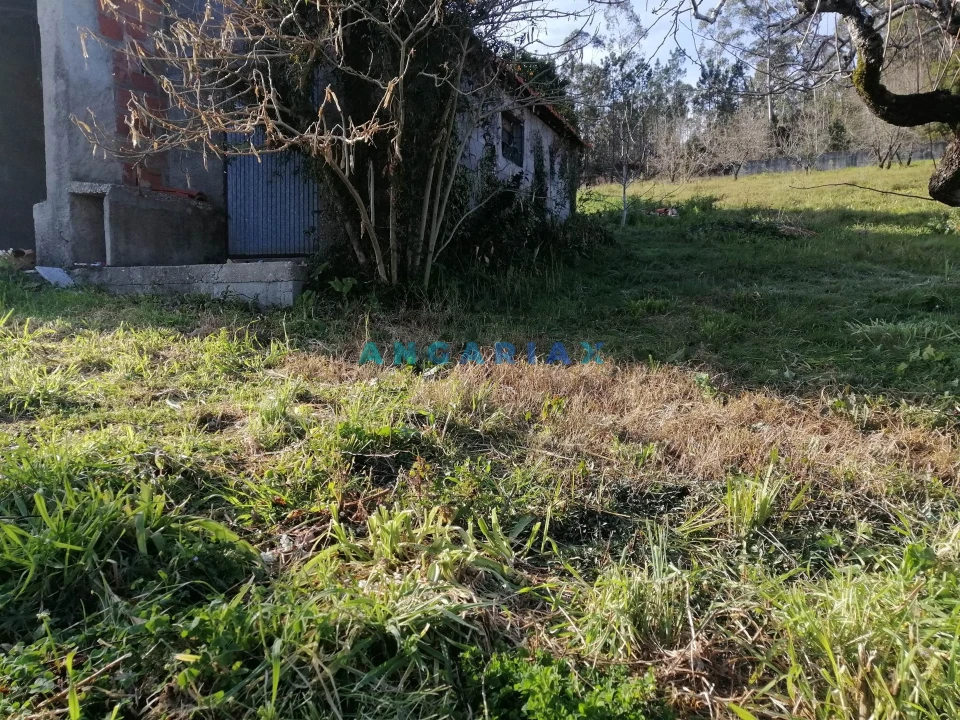 Terreno para Venda em Milagres Foto 3