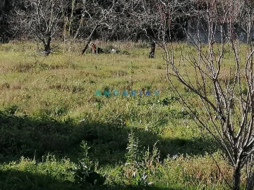 Terreno para Venda em Milagres