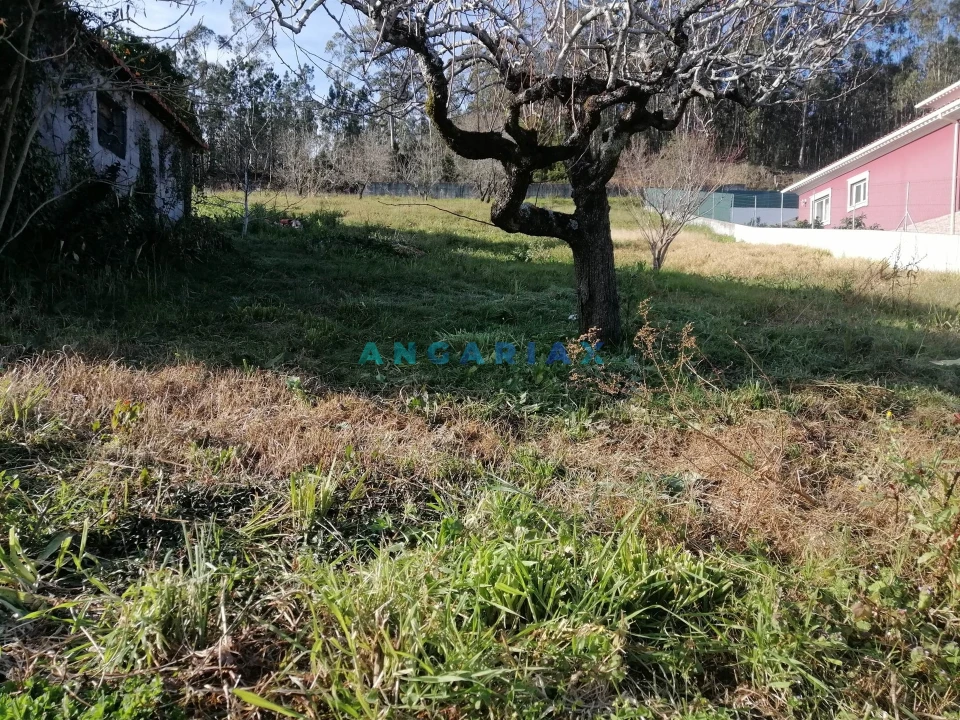 Terreno para Venda em Milagres Foto 2