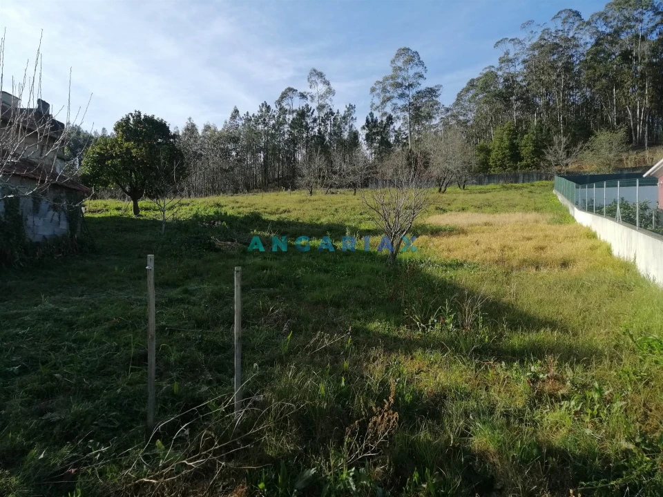 Terreno para Venda em Milagres Foto 1