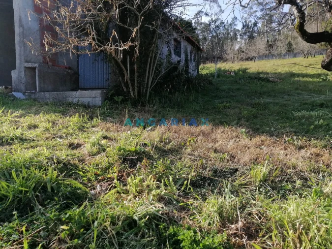 Terreno para Venda em Milagres Foto 3