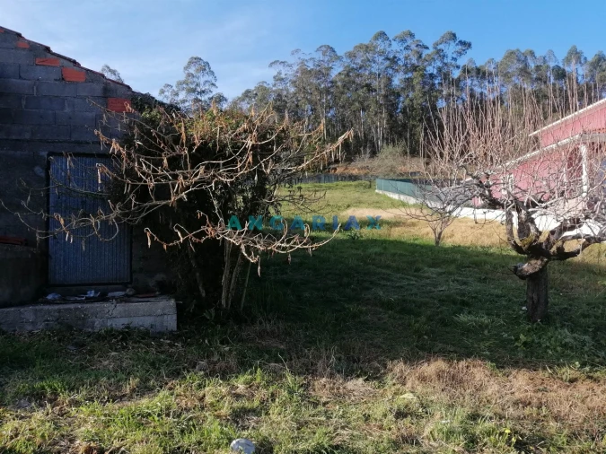 Terreno para Venda em Milagres Foto 7