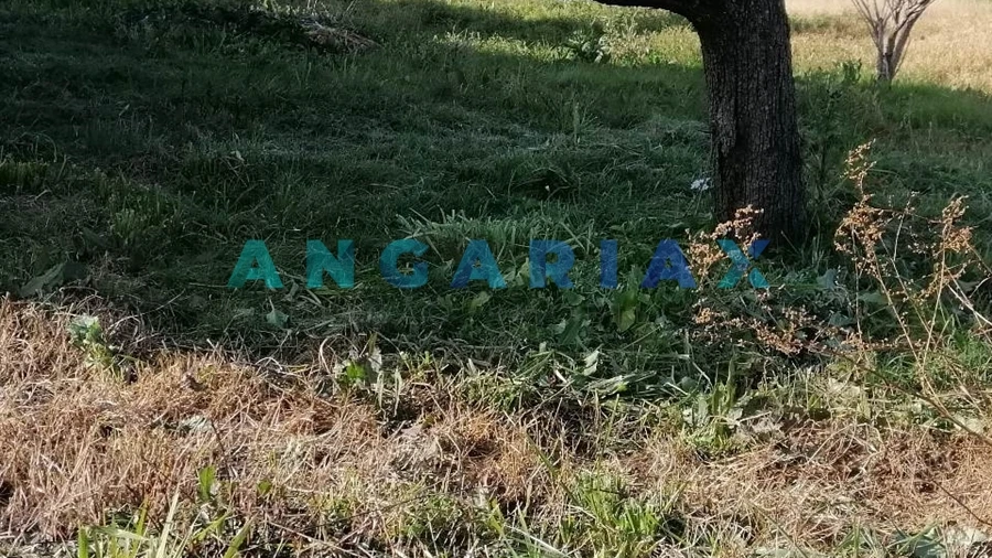Terreno para Venda em Milagres