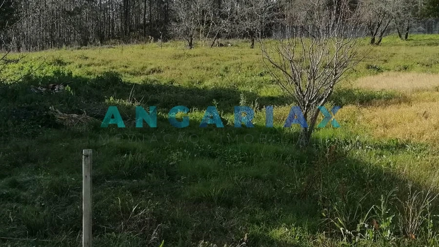 Terreno para Venda em Milagres