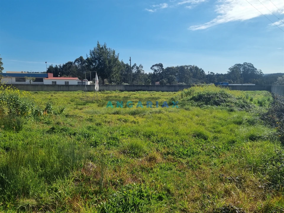 Terreno para Venda em Calvaria de Cima Foto 5