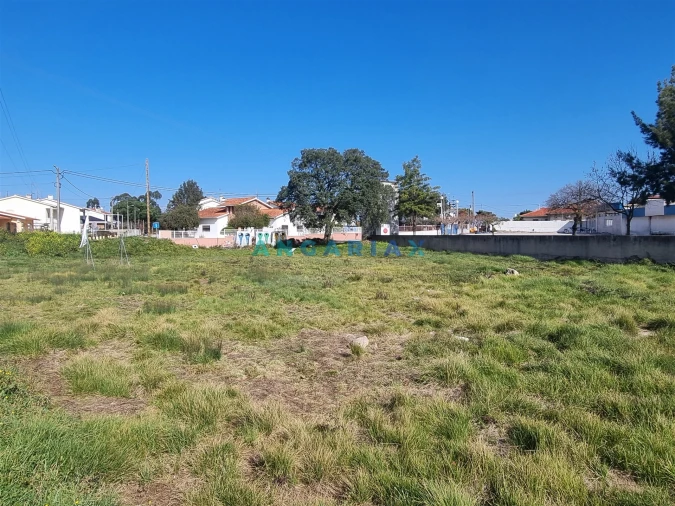 Terreno para Venda em Calvaria de Cima Foto 3