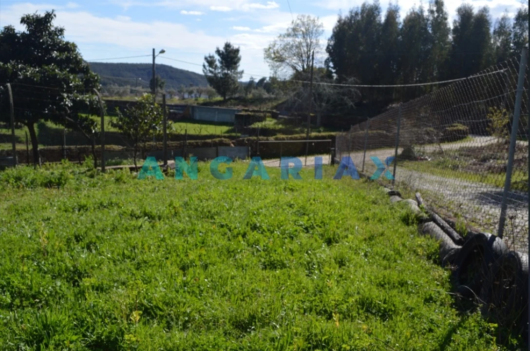 Terreno para Venda em Figueiró dos Vinhos e Bairradas Foto 3