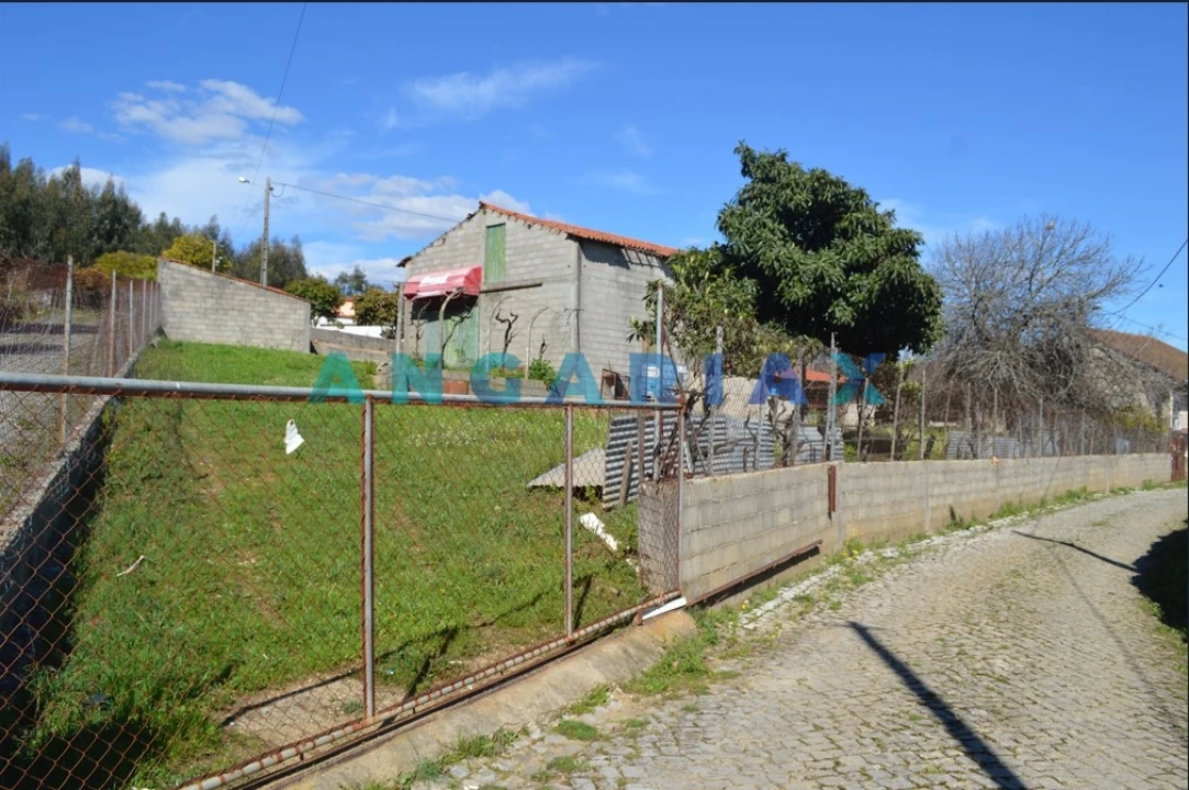 Terreno para Venda em Figueiró dos Vinhos e Bairradas Foto 4
